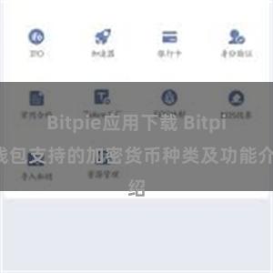 Bitpie应用下载 Bitpie钱包支持的加密货币种类及功能介绍