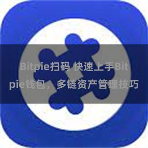 Bitpie扫码 快速上手Bitpie钱包，多链资产管理技巧