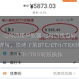 比特派用户教程 比特派钱包转账教程详解，快速了解BTC/ETH/TRX转账操作