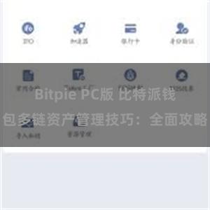 Bitpie PC版 比特派钱包多链资产管理技巧：全面攻略