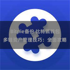 Bitpie备份 比特派钱包多链资产管理技巧：全面攻略