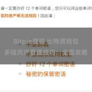 Bitpie提现 比特派钱包多链资产管理技巧：全面攻略