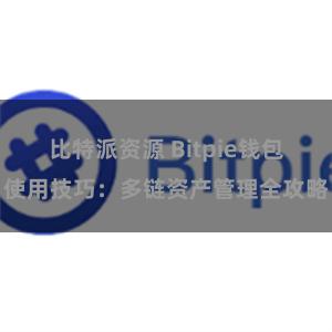 比特派资源 Bitpie钱包使用技巧：多链资产管理全攻略