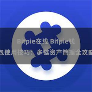 Bitpie在线 Bitpie钱包使用技巧：多链资产管理全攻略