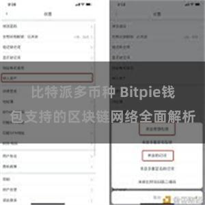 比特派多币种 Bitpie钱包支持的区块链网络全面解析