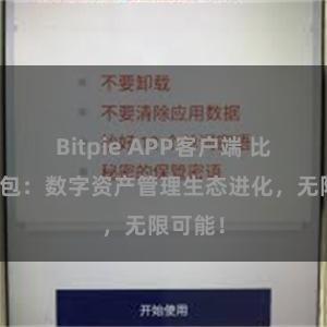 Bitpie APP客户端 比特派钱包：数字资产管理生态进化，无限可能！