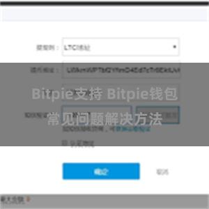 Bitpie支持 Bitpie钱包常见问题解决方法