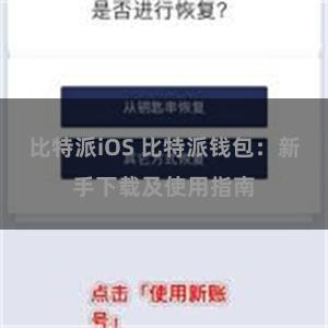 比特派iOS 比特派钱包：新手下载及使用指南