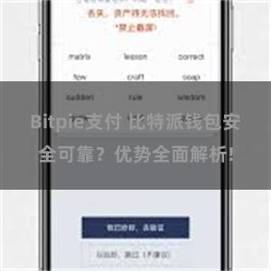 Bitpie支付 比特派钱包安全可靠？优势全面解析!