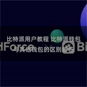 比特派用户教程 比特派钱包与其他钱包的区别解析