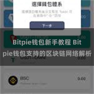 Bitpie钱包新手教程 Bitpie钱包支持的区块链网络解析