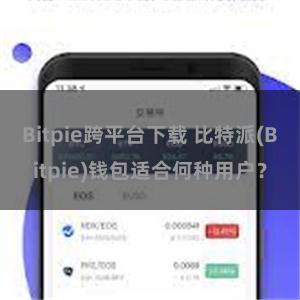 Bitpie跨平台下载 比特派(Bitpie)钱包适合何种用户？