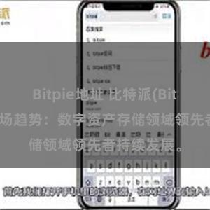 Bitpie地址 比特派(Bitpie)钱包市场趋势：数字资产存储领域领先者持续发展。