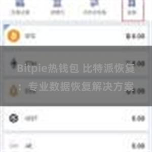 Bitpie热钱包 比特派恢复：专业数据恢复解决方案
