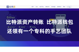 比特派资产转账  比特派钱包还领有一个专科的手艺团队