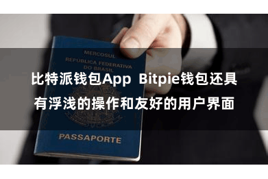比特派钱包App  Bitpie钱包还具有浮浅的操作和友好的用户界面